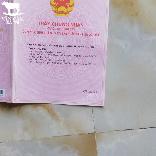 ĐẤT NỀN MẶT TIỀN XÃ AN BÌNH TÂY - BA TRI