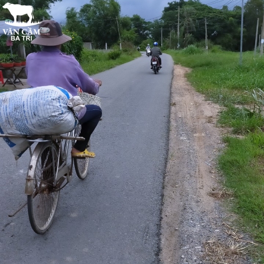 ĐẤT NỀN MẶT TIỀN XÃ AN BÌNH TÂY - BA TRI