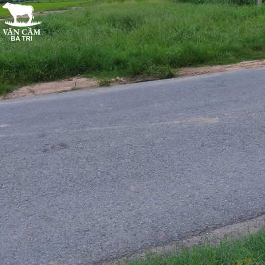 ĐẤT NỀN MẶT TIỀN XÃ AN BÌNH TÂY - BA TRI