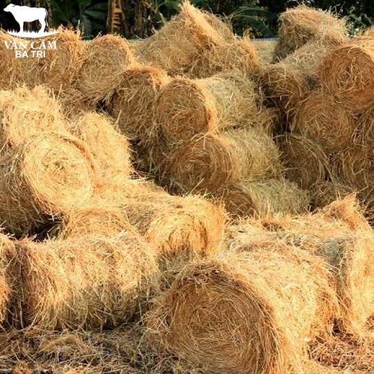 RƠM BÓ MIỀN TÂY